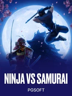 Ninja vs Samurai